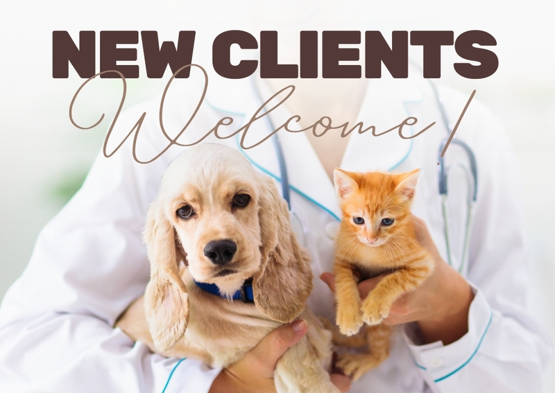 Carousel Slide 2: New Clients Welcome!